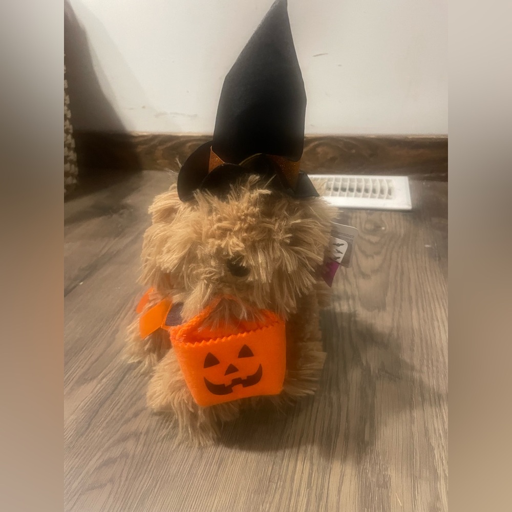 Dan Dee Halloween Musical Dancing Dog Yo Ho Ho
Cute fun unique kids plush toys